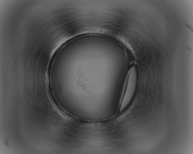 X0000091940936200710031115