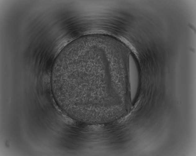 X0000091940937200710031115