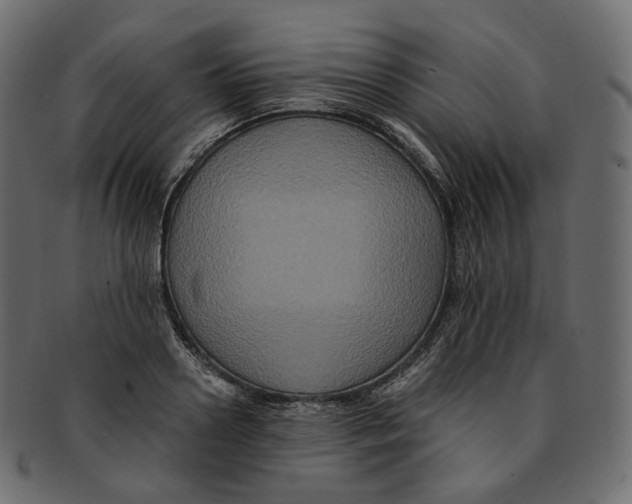 X0000091940938200710031115