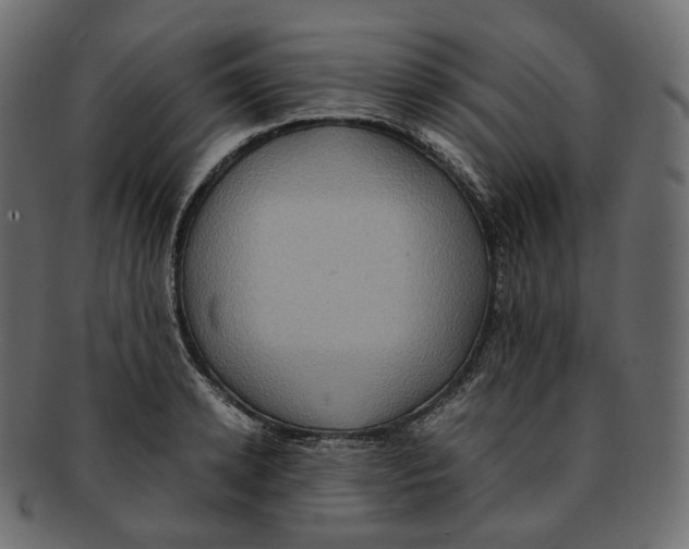 X0000091940942200710031115