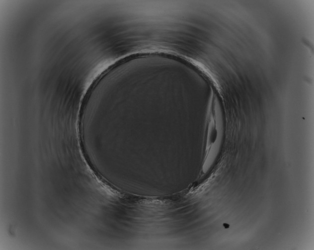 X0000091940943200710031115