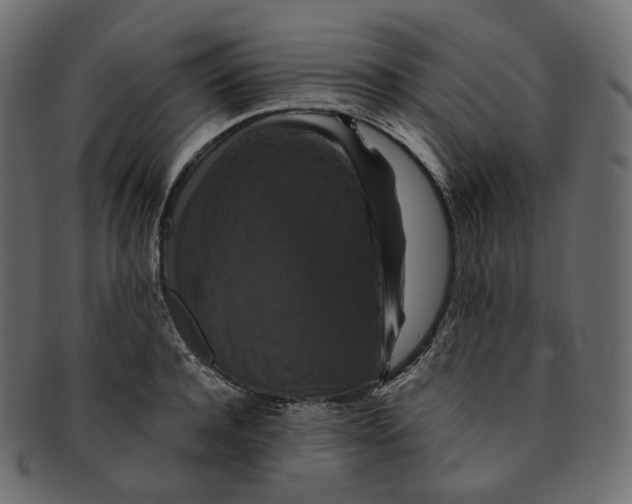 X0000091940944200710031115