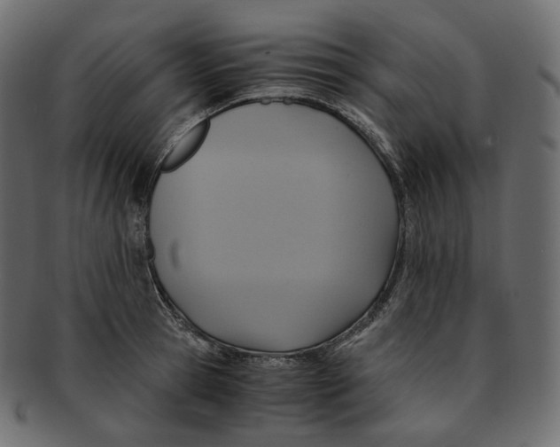 X0000091940945200710031115