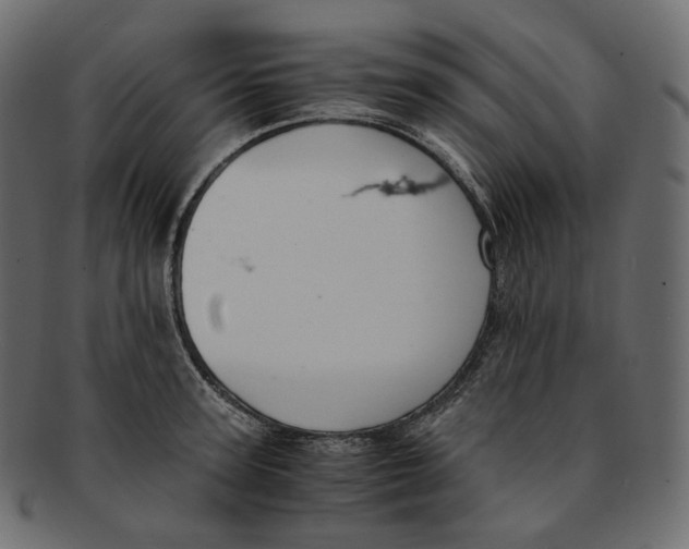 X0000091940947200710031115