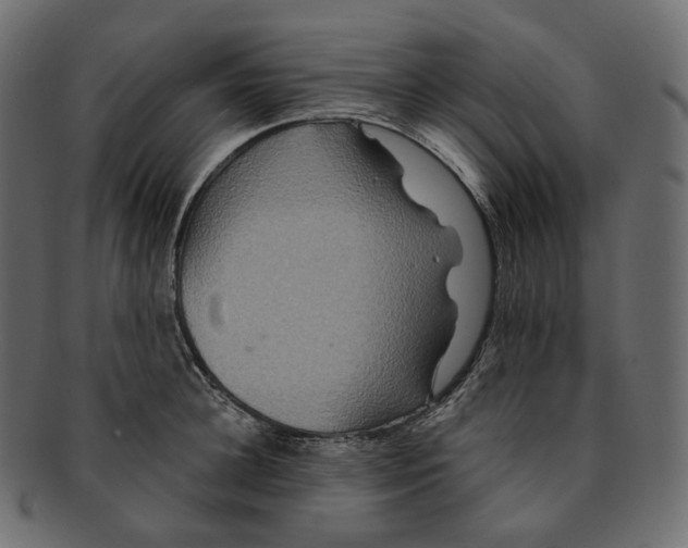 X0000091940948200710031115