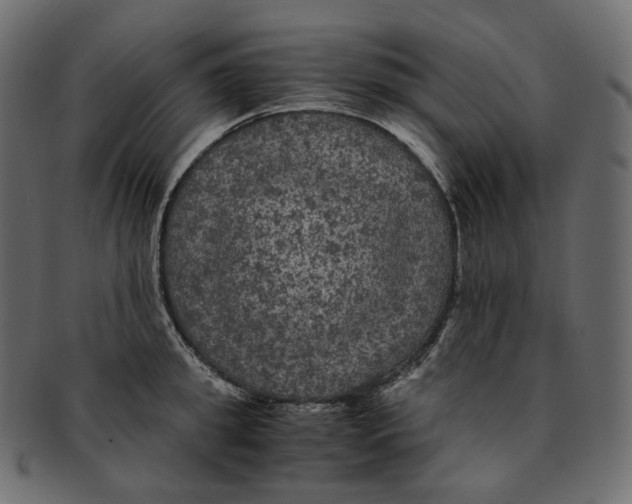 X0000091940949200710031115