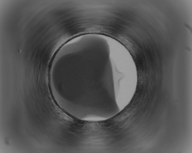 X0000091940950200710031115