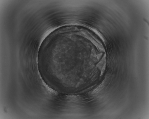 X0000091940951200710031115