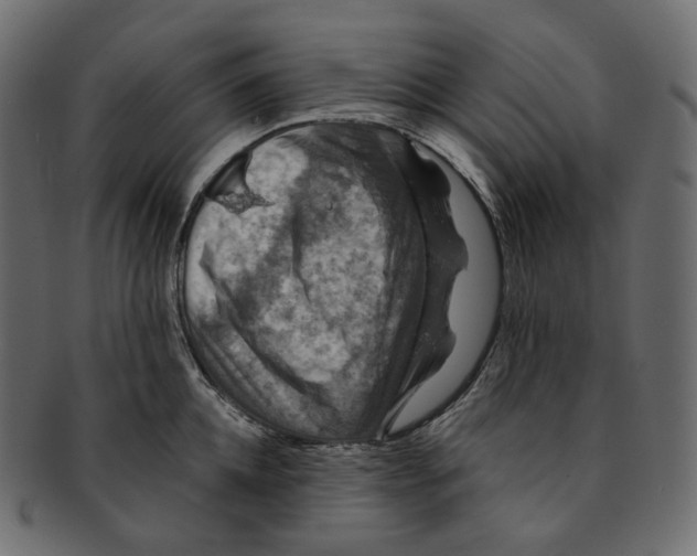 X0000091940952200710031115