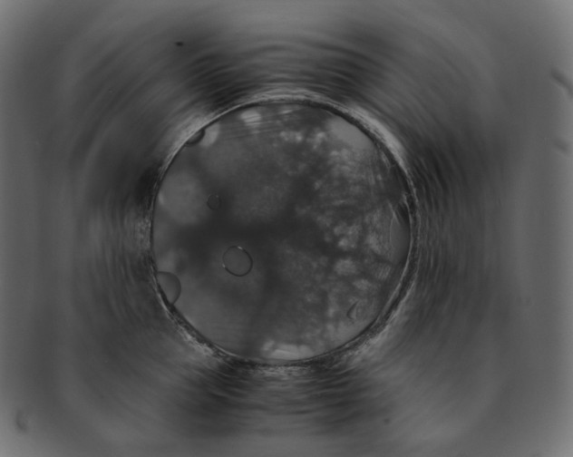 X0000091940953200710031115