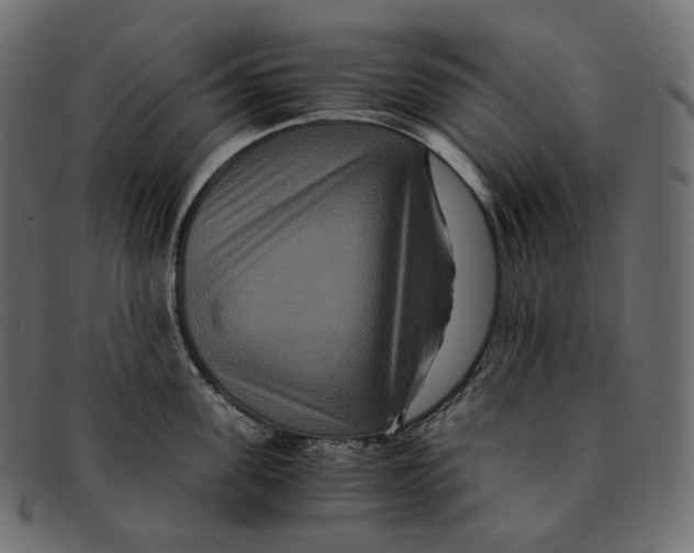 X0000091940955200710031115