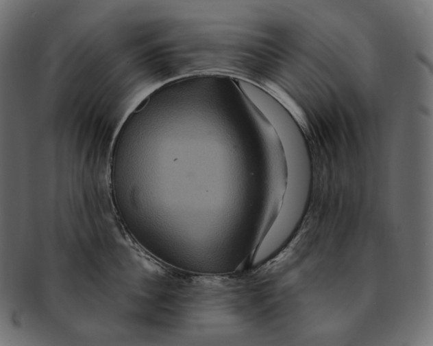 X0000091940956200710031115