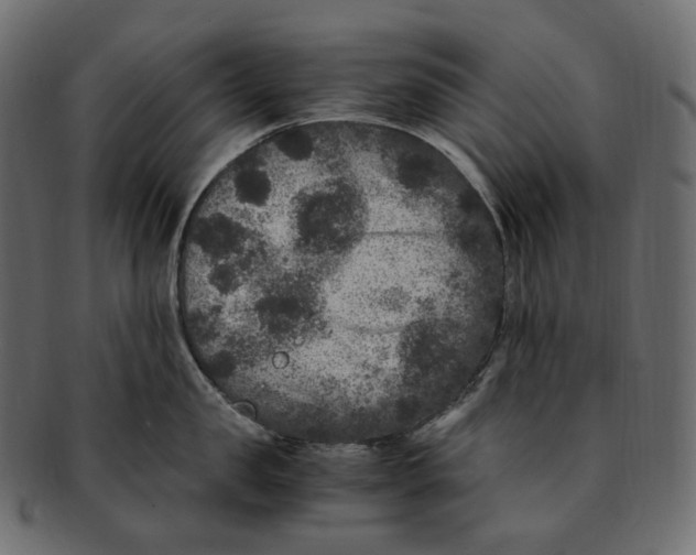 X0000091940957200710031115