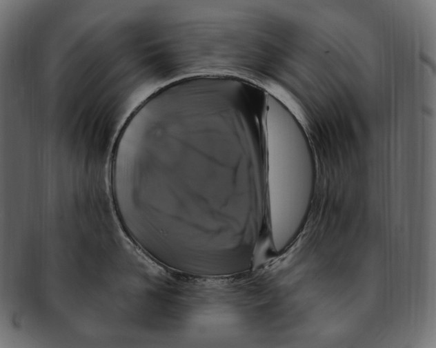 X0000091940958200710031115