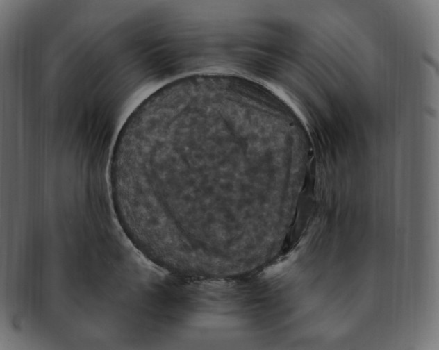 X0000091940959200710031115