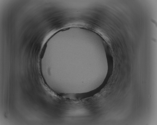 X0000091940960200710031115