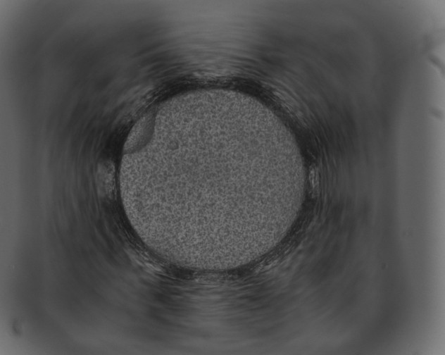 X0000091940963200710031115