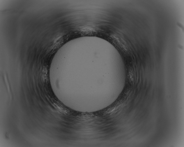 X0000091940964200710031115