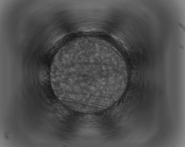 X0000091940966200710031115