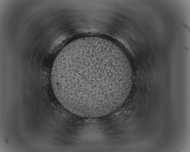 X0000091940967200710031114