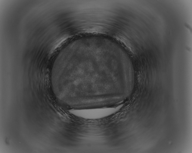 X0000091940968200710031114