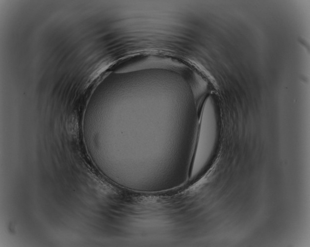 X0000091940969200710031114