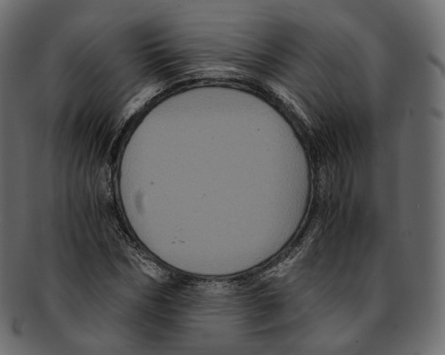 X0000091940970200710031114