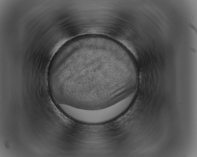 X0000091940972200710031114