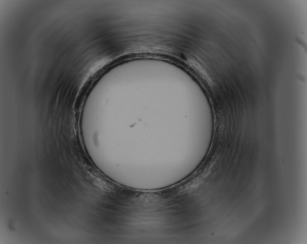 X0000091940974200710031114