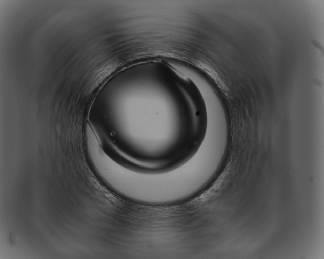 X0000091940977200710031114