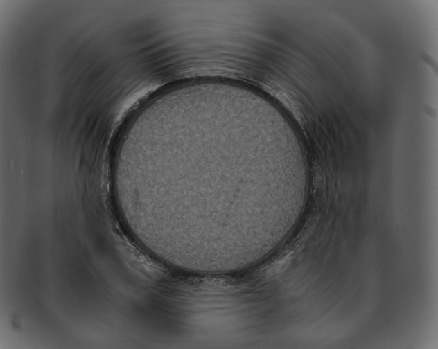 X0000091940979200710031114