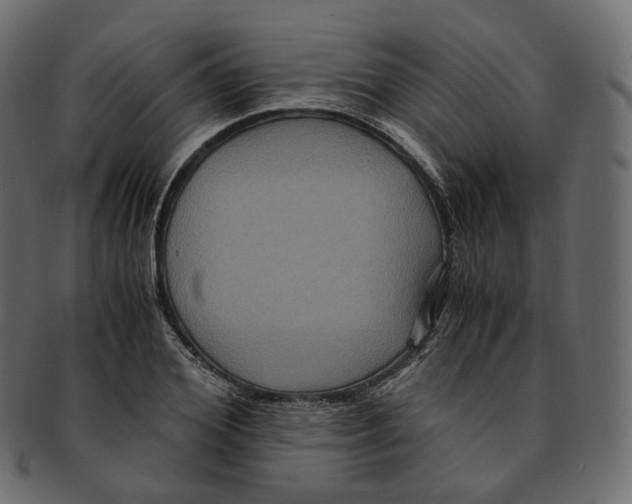 X0000091940980200710031114