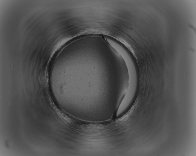 X0000091940981200710031114