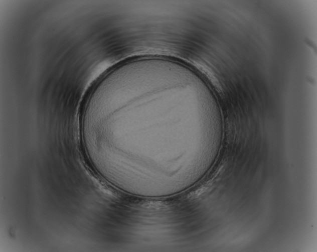 X0000091940982200710031114