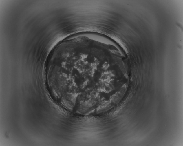 X0000091940983200710031114