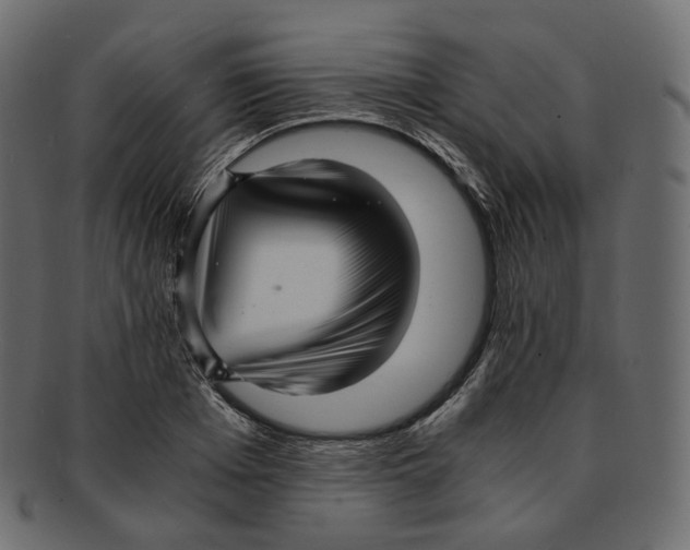 X0000091940985200710031114