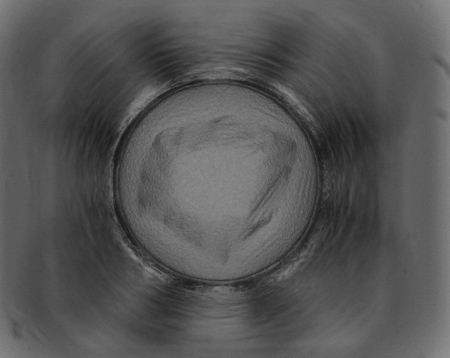 X0000091940986200710031114