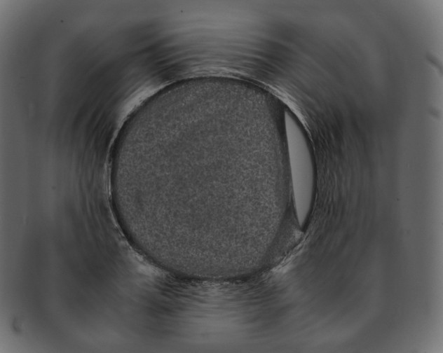 X0000091940987200710031114