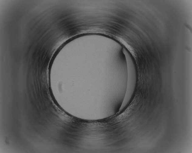 X0000091940988200710031114