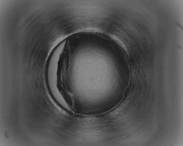 X0000091940989200710031114