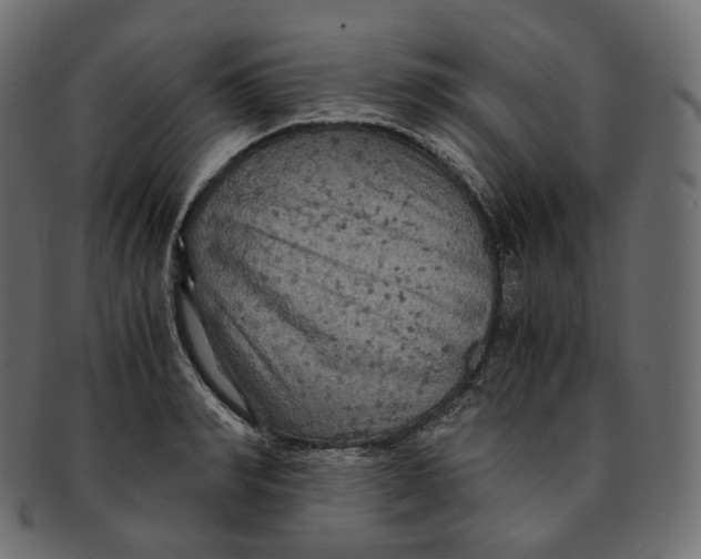 X0000091940990200710031114