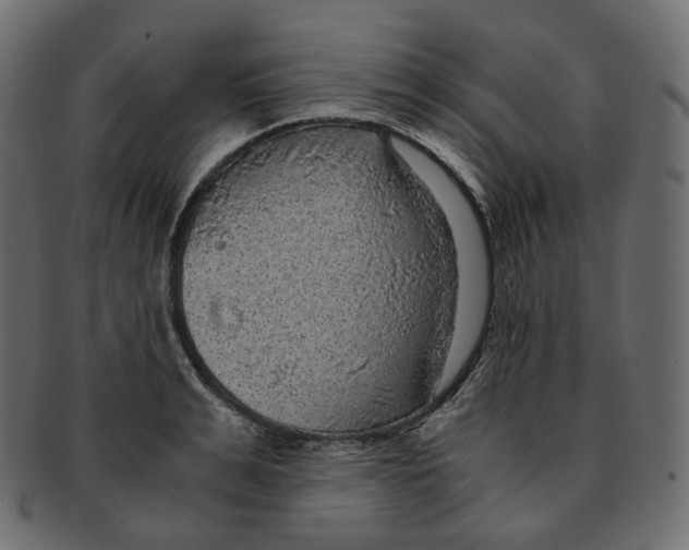 X0000091940991200710031114