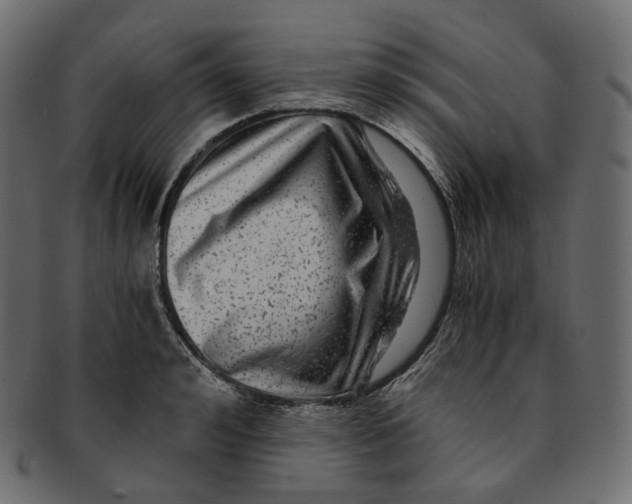 X0000091940992200710031114