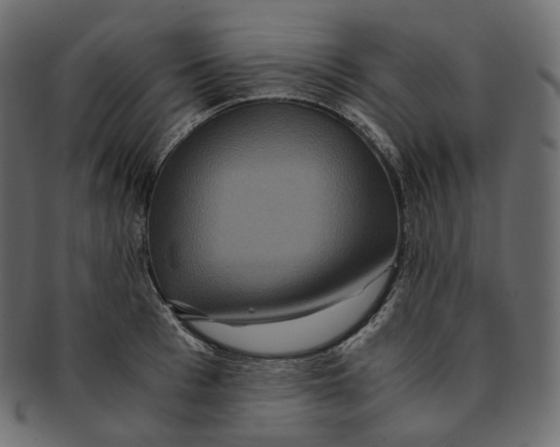 X0000091940993200710031114