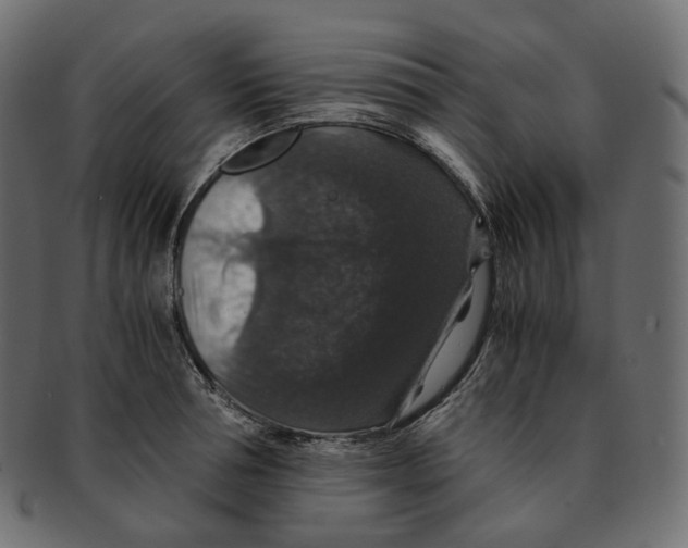 X0000091940994200710031114