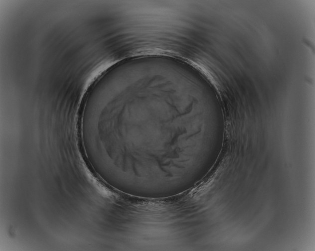 X0000091940995200710031114