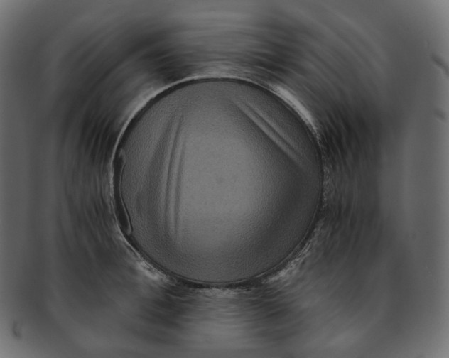 X0000091940996200710031114