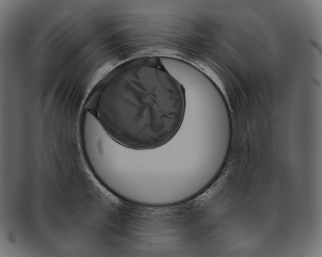 X0000091940997200710031114