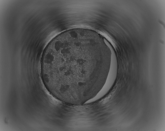 X0000091940999200710031114