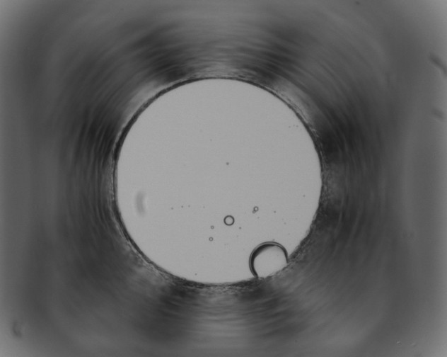 X0000091941000200710031114